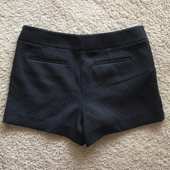 Loft Riviera Shorts - Picture 2 of 4